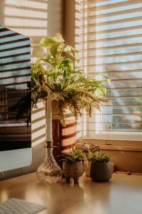 Tips for Creating a Cozy and Inviting Home Office Space